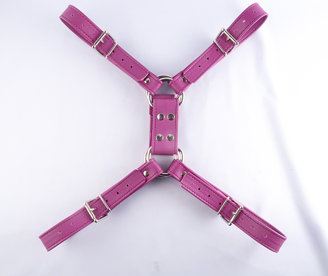 Pink chest harness top